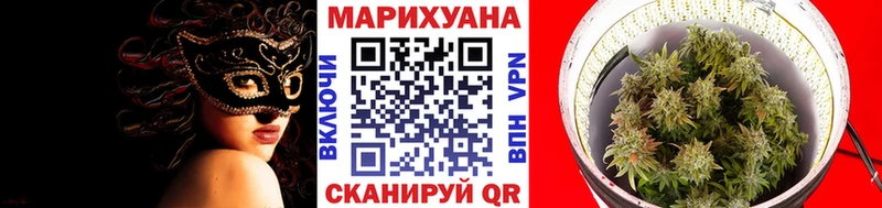 Бошки марихуана VHQ  наркошоп  Солнечногорск 